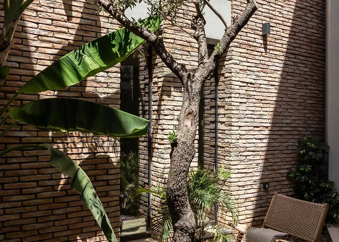 Terra Segreda - Slow Living By Ikies 3